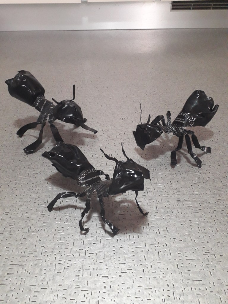 Pomme de terre, octobre 2020